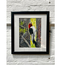 Central Park: A Red Headed Woodpecker Clings To A Pin Oak Tree in the Rambles, framed drawing, sgnd Lee 2018