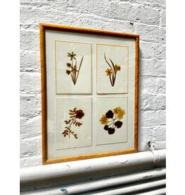 Framed Dried Florals Style Print