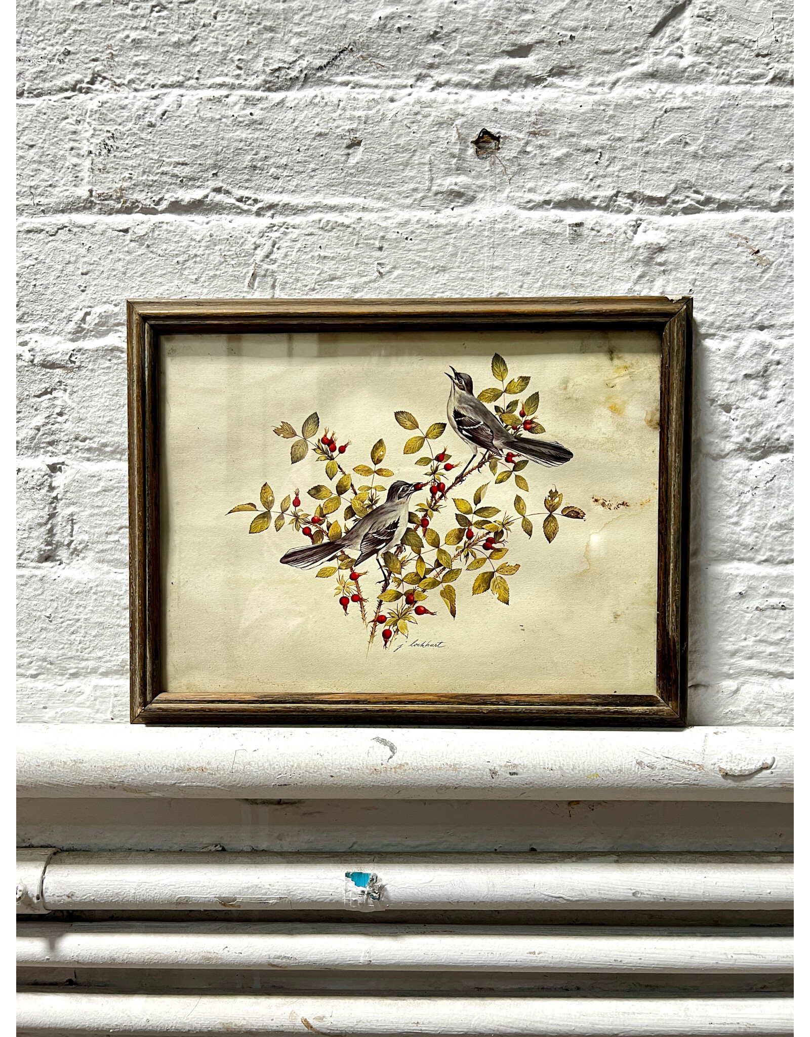 Two Birds on a Branch, framed print