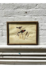 Red Wing Blackbird, framed print