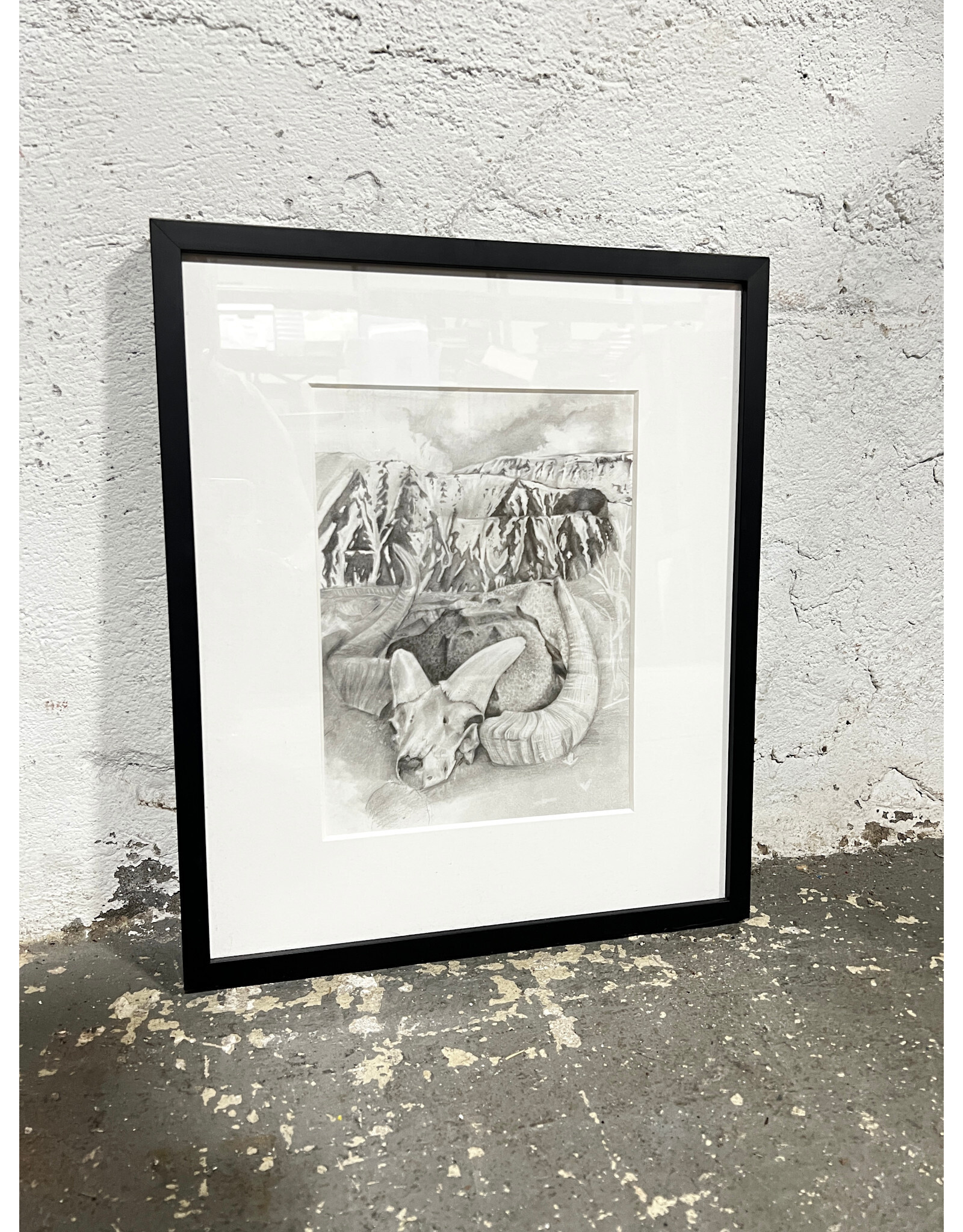 Pieces of the Desert, framed drawing