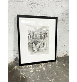 Pieces of the Desert, framed drawing