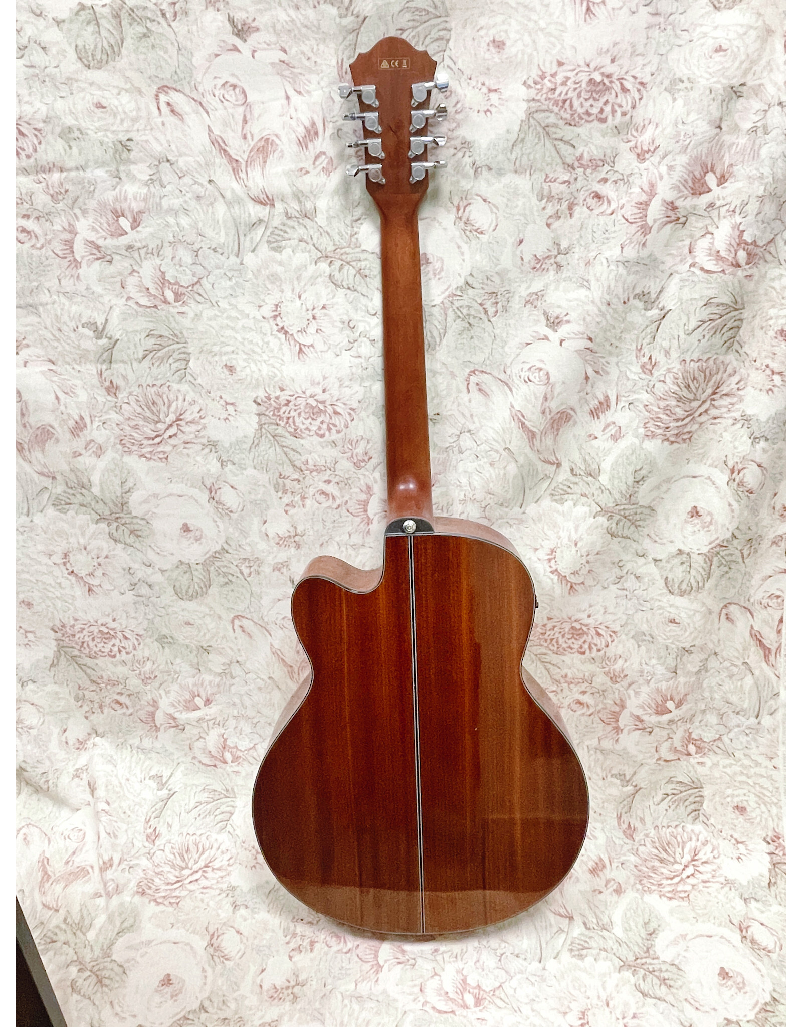 Ibanez AEL108MD-NT120 Acustic- Electric Guitar