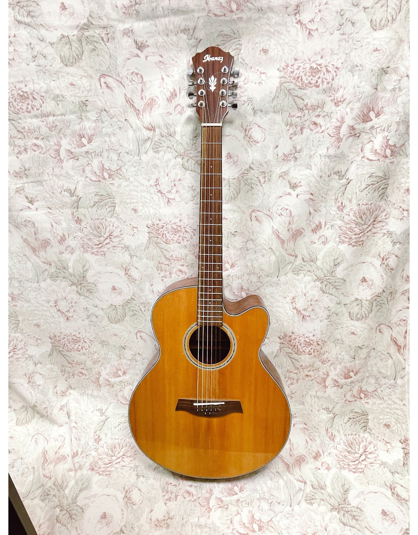 Ibanez AEL108MD-NT120 Acustic- Electric Guitar