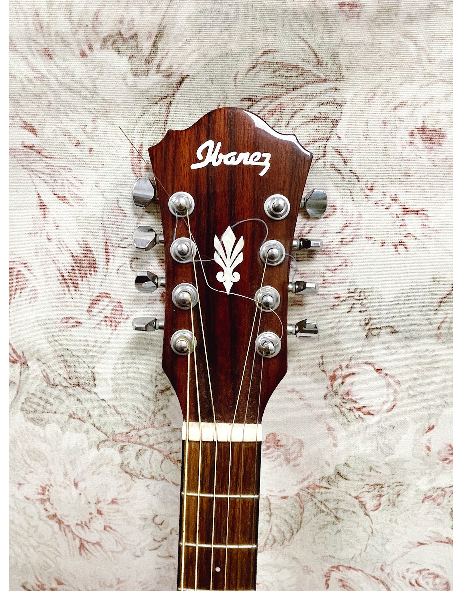 Ibanez AEL108MD-NT120 Acustic- Electric Guitar