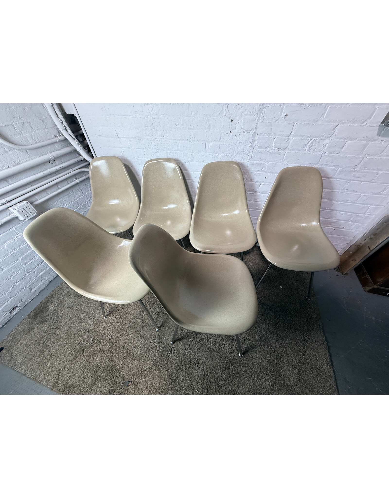 Modernica Side Shell H Base Case Study Chair in Oatmeal Color