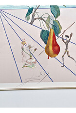 Framed “Flordalí II: La rose papillon" Lithograph by Salvador Dalí