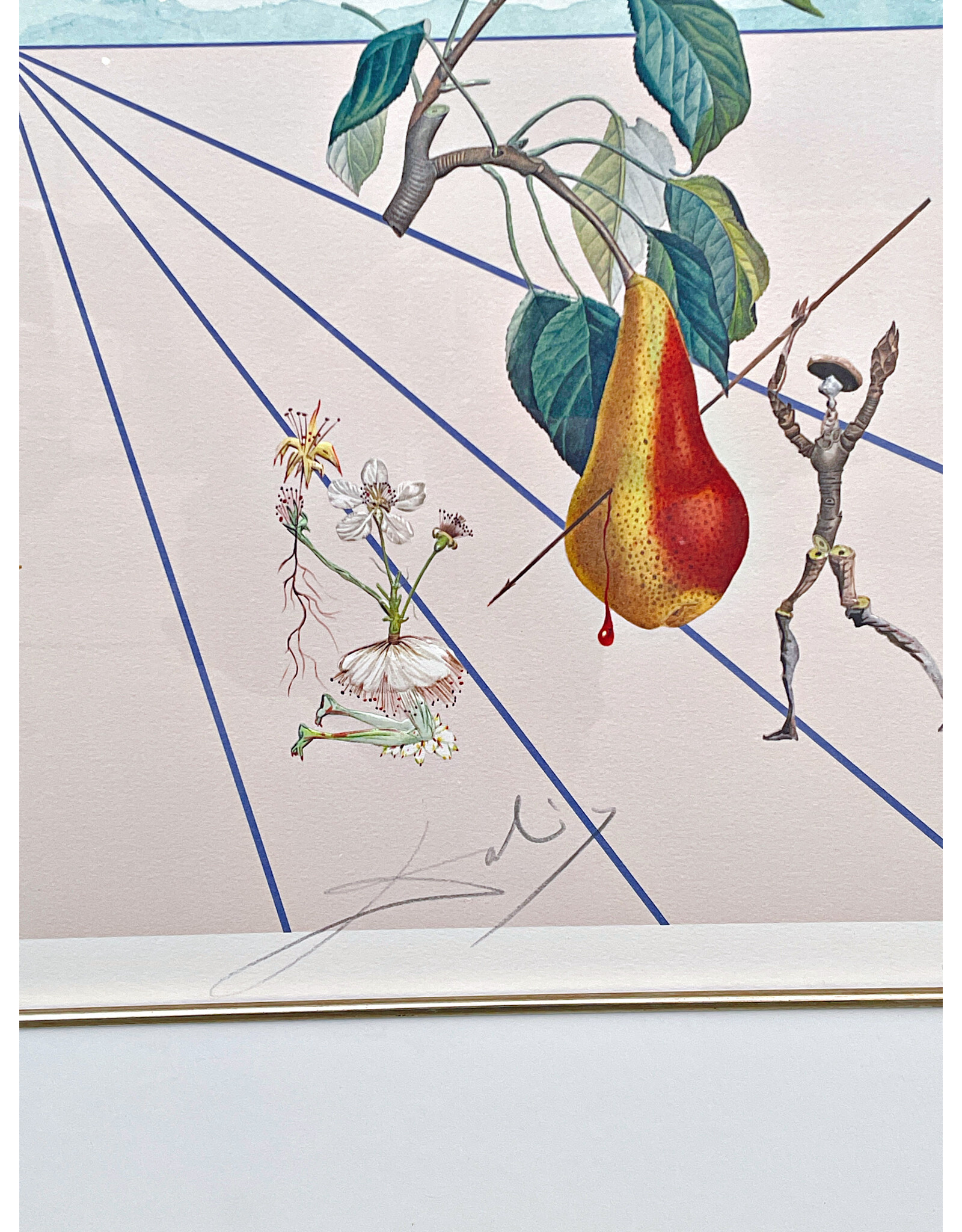 Framed “Flordalí II: La rose papillon" Lithograph by Salvador Dalí