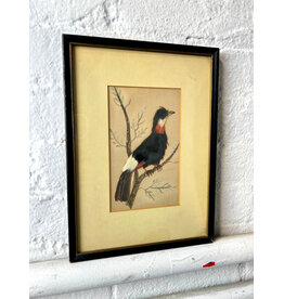 tiny bird, framed mixed media with feathers