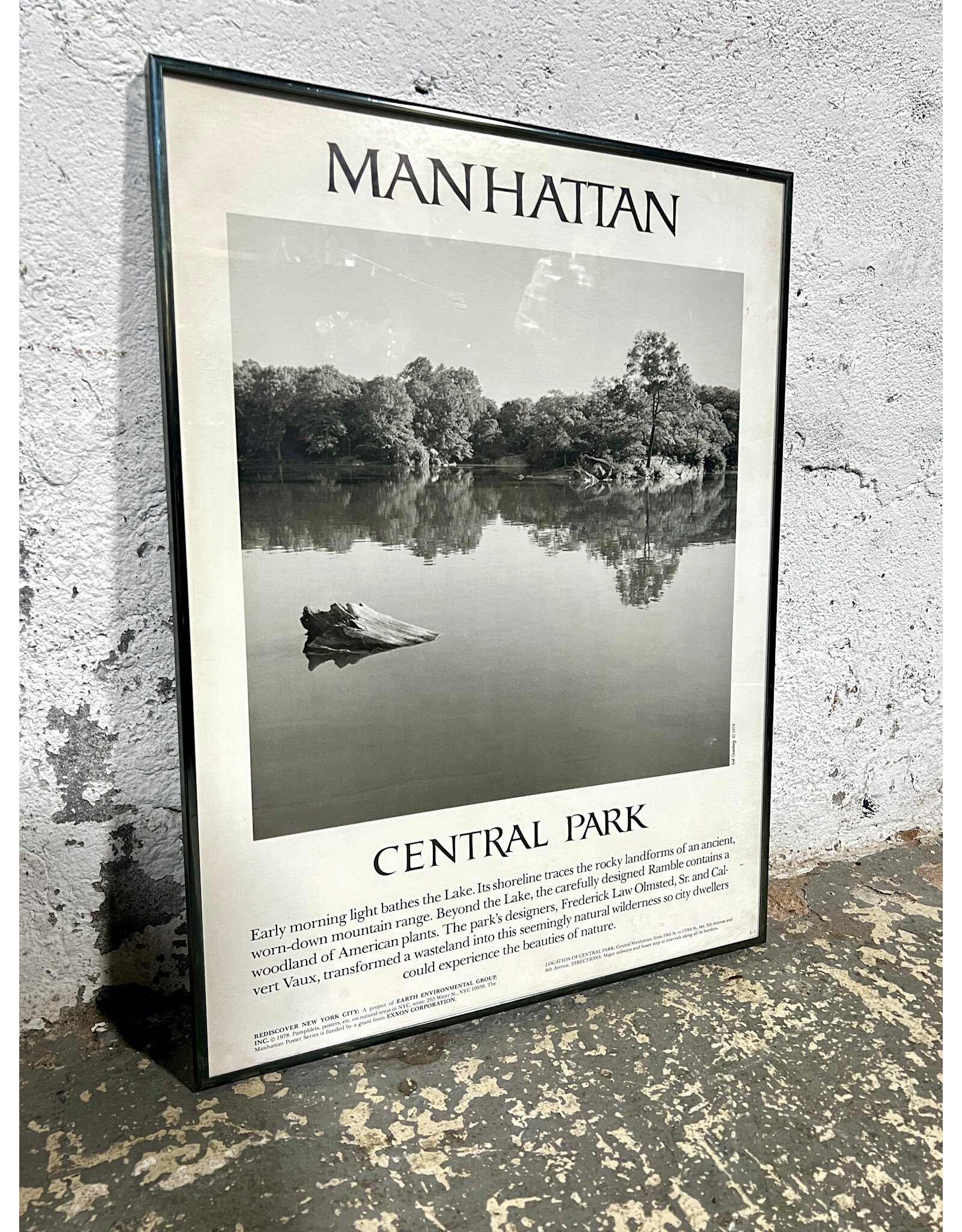 Central Park by Joel Greenberg, framed offset lithograph