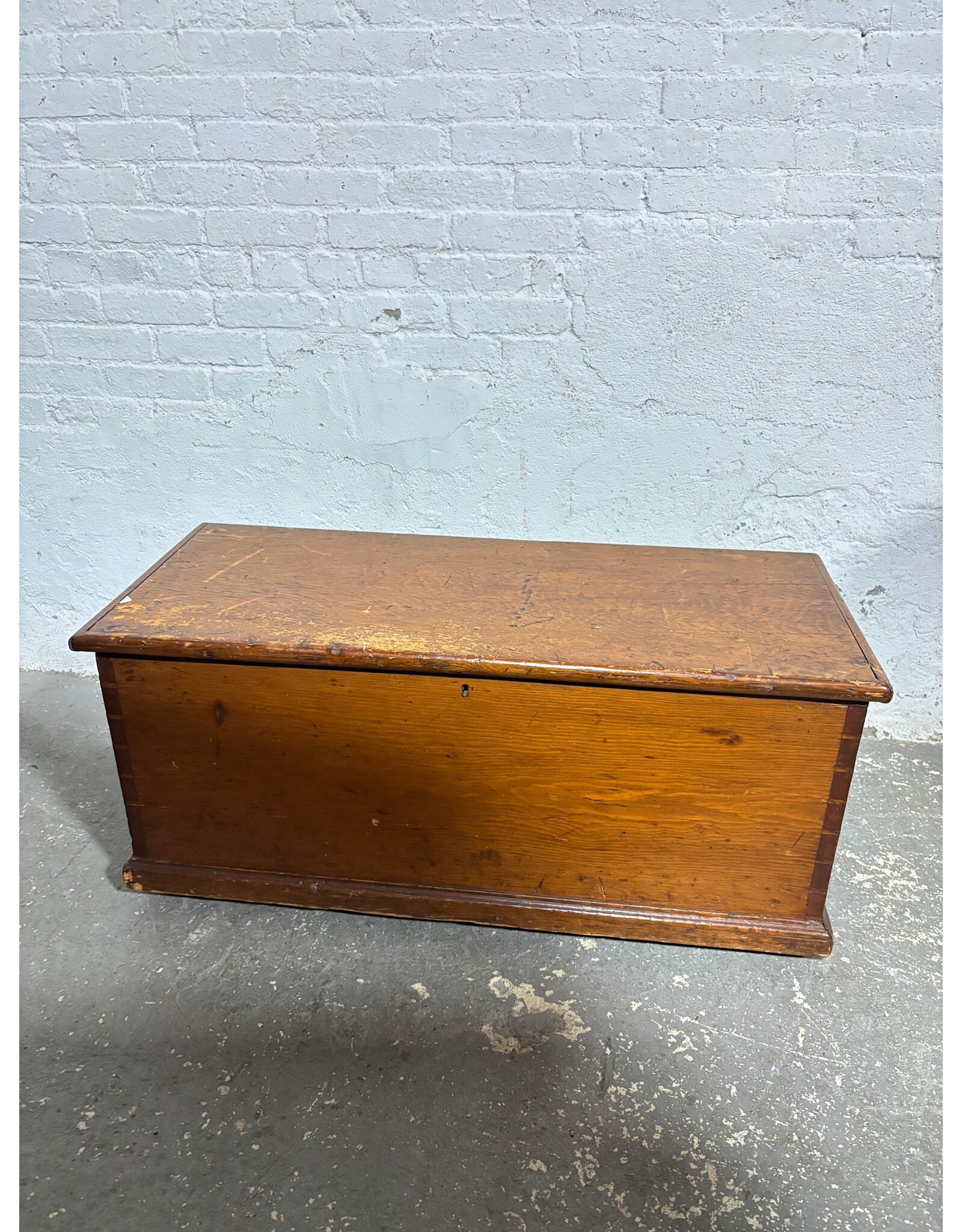 Pine Wood Cedar Trunk