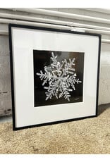 Wilson Bentley Inspired Photograph of a Snowflake II, sgns 2014