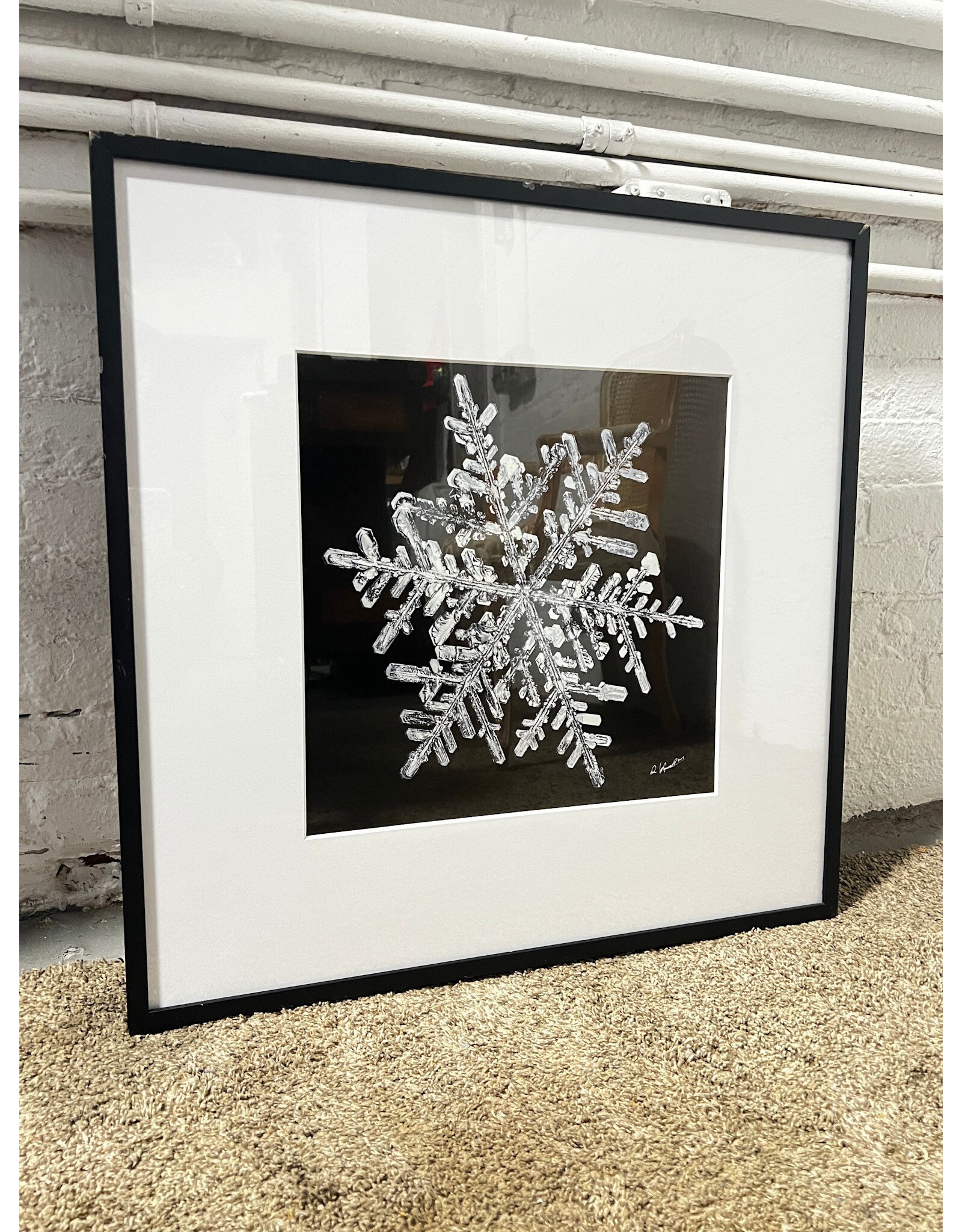 Wilson Bentley Inspired Photograph of a Snowflake II, sgns 2014