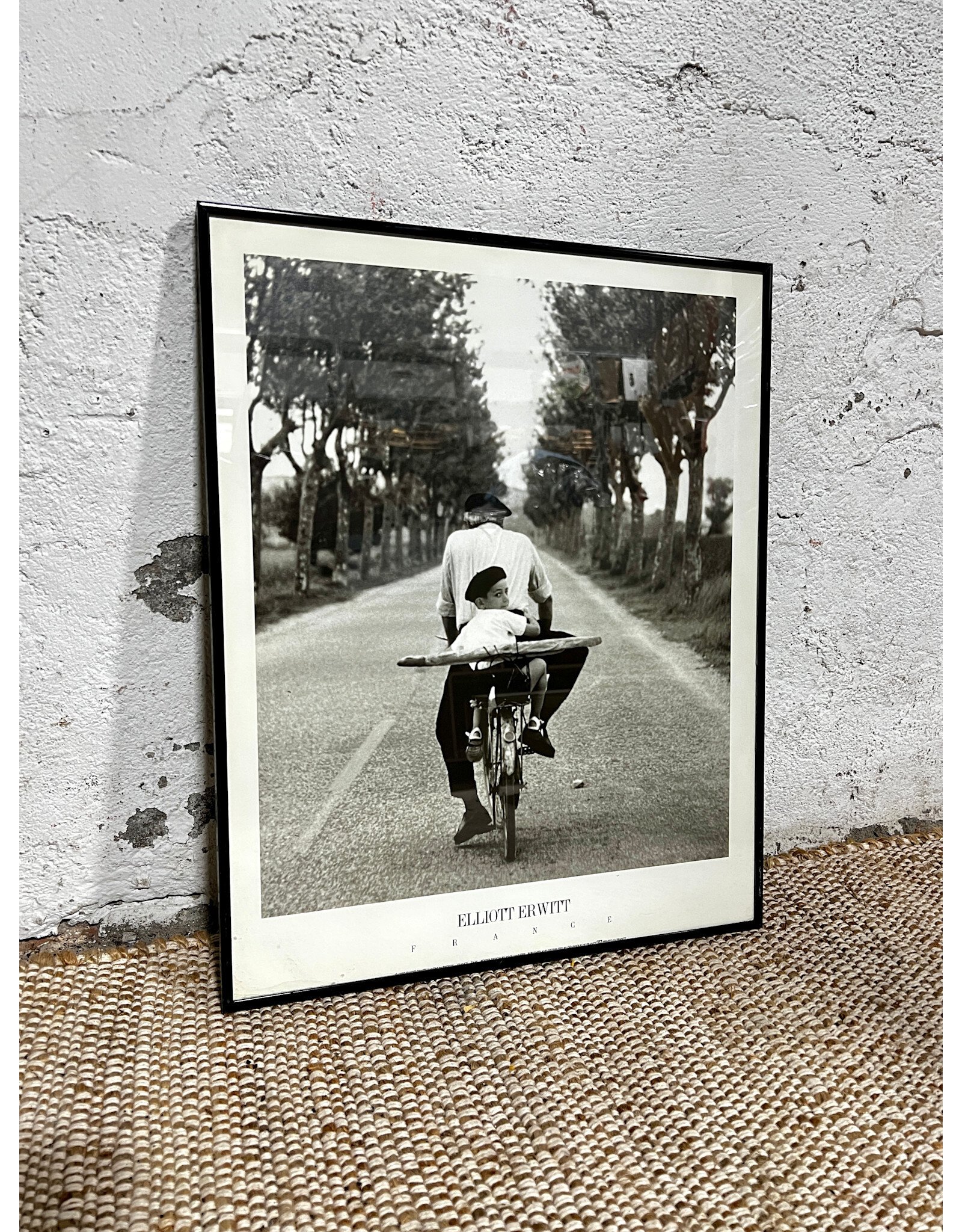 Provence, France by Elliott Erwhitt, framed print