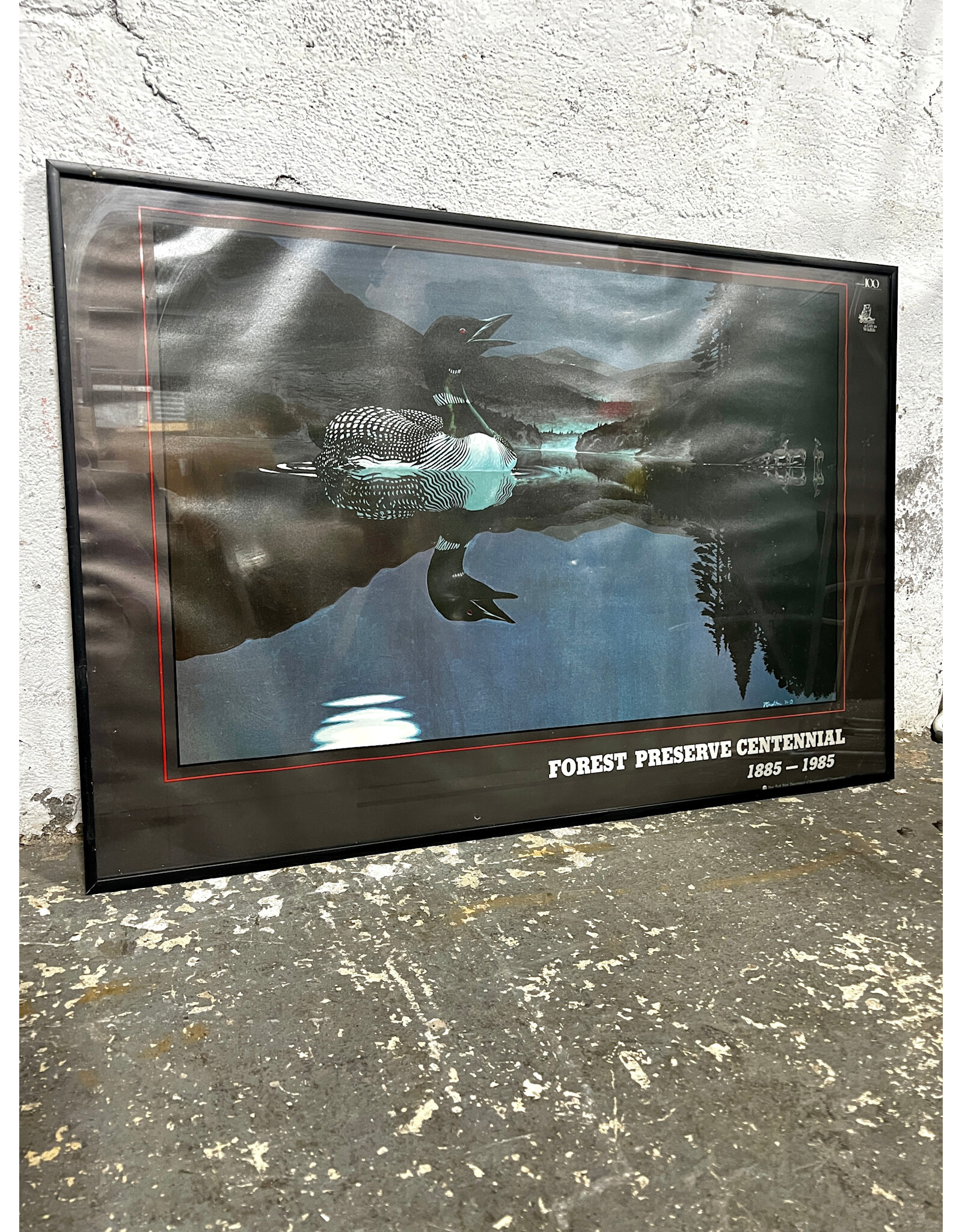 Framed Forest Preserve Centennial Poster