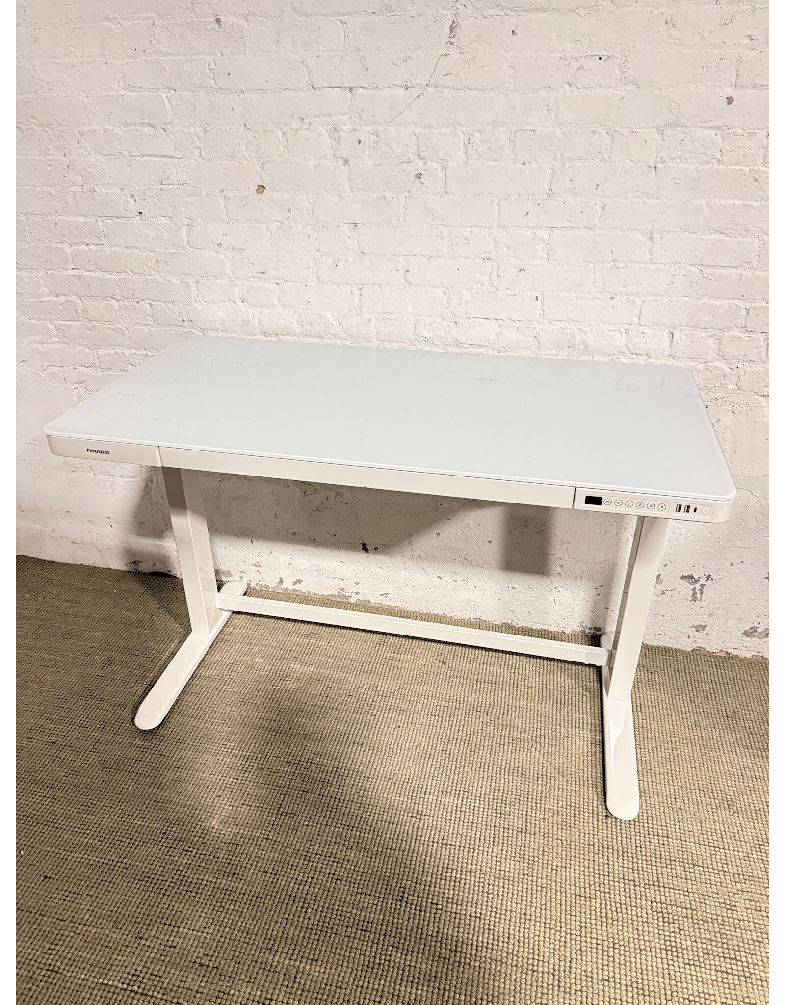 FlexiSpot Rectangular Adjustable Metal Standing Desk