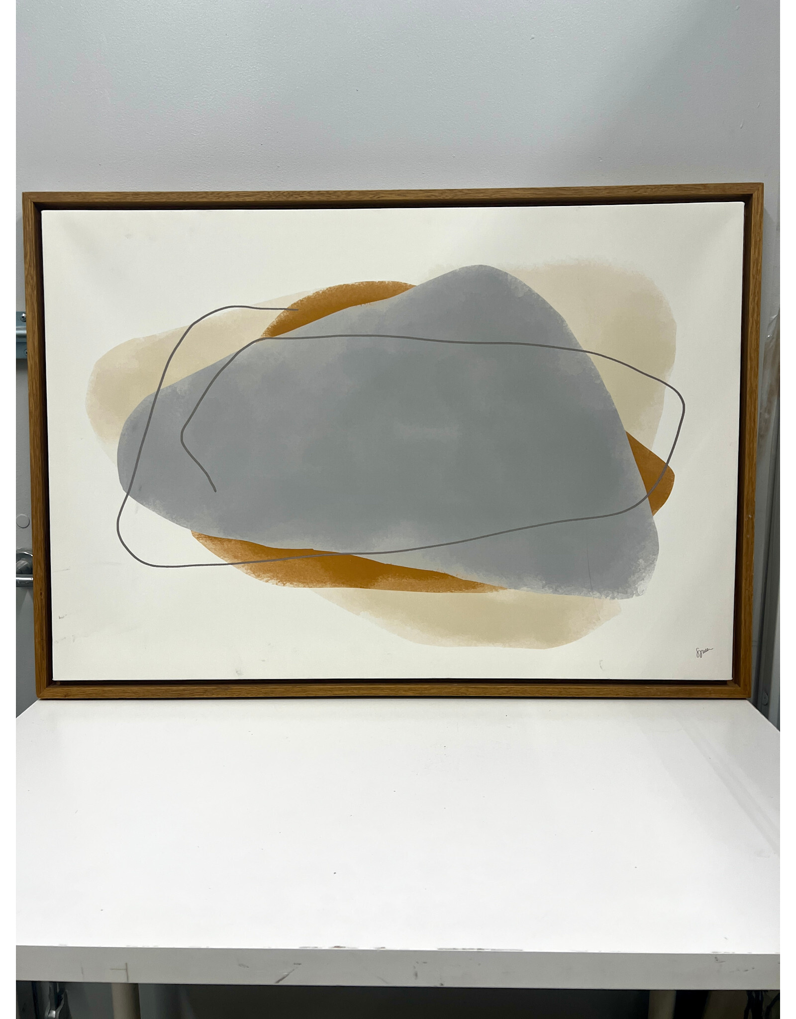 Organic Shapes, print on canvas