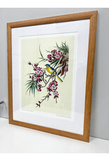 Flowering Cherry With Blue Winged Yellow Bird, framed NYBG Poster