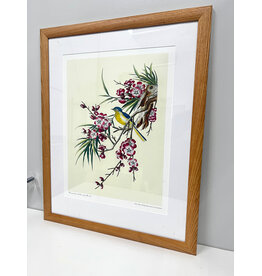 Flowering Cherry With Blue Winged Yellow Bird, framed NYBG Poster