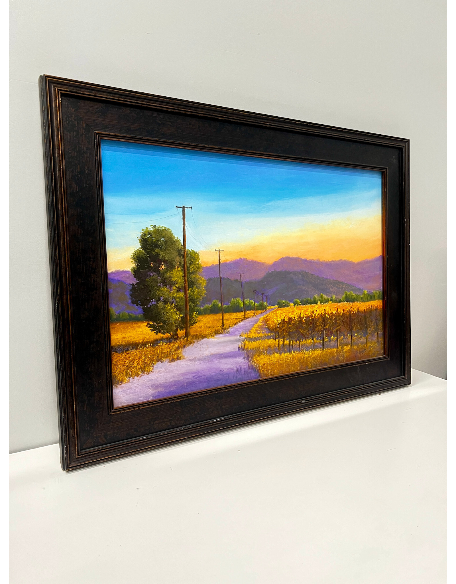 Sonoma Color 2018, framed painting, sgnd J Thomas
