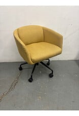 Gus Radius Mustard