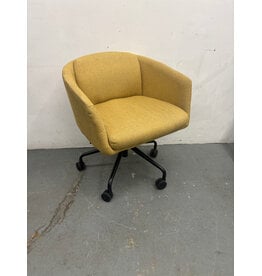 Gus Radius Mustard