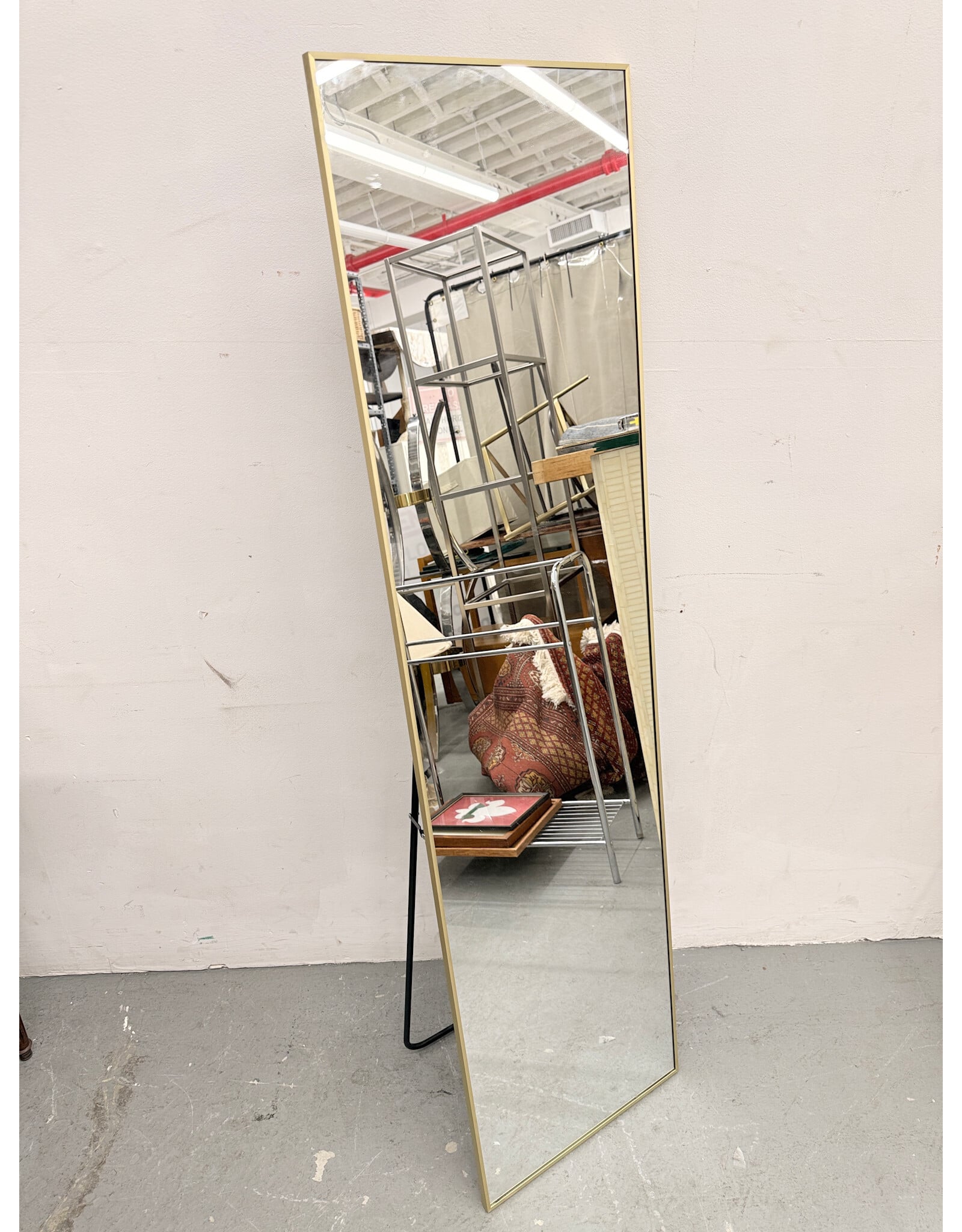 Gold Trim Standing Mirror