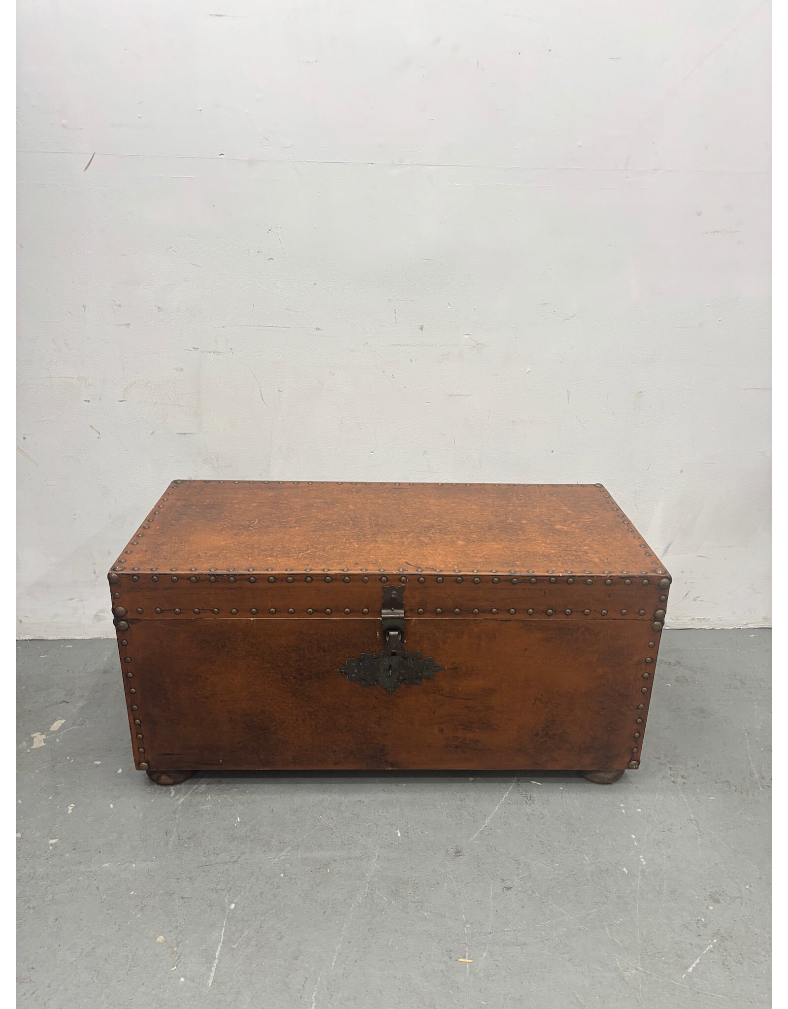Argentinian Studded Trunk