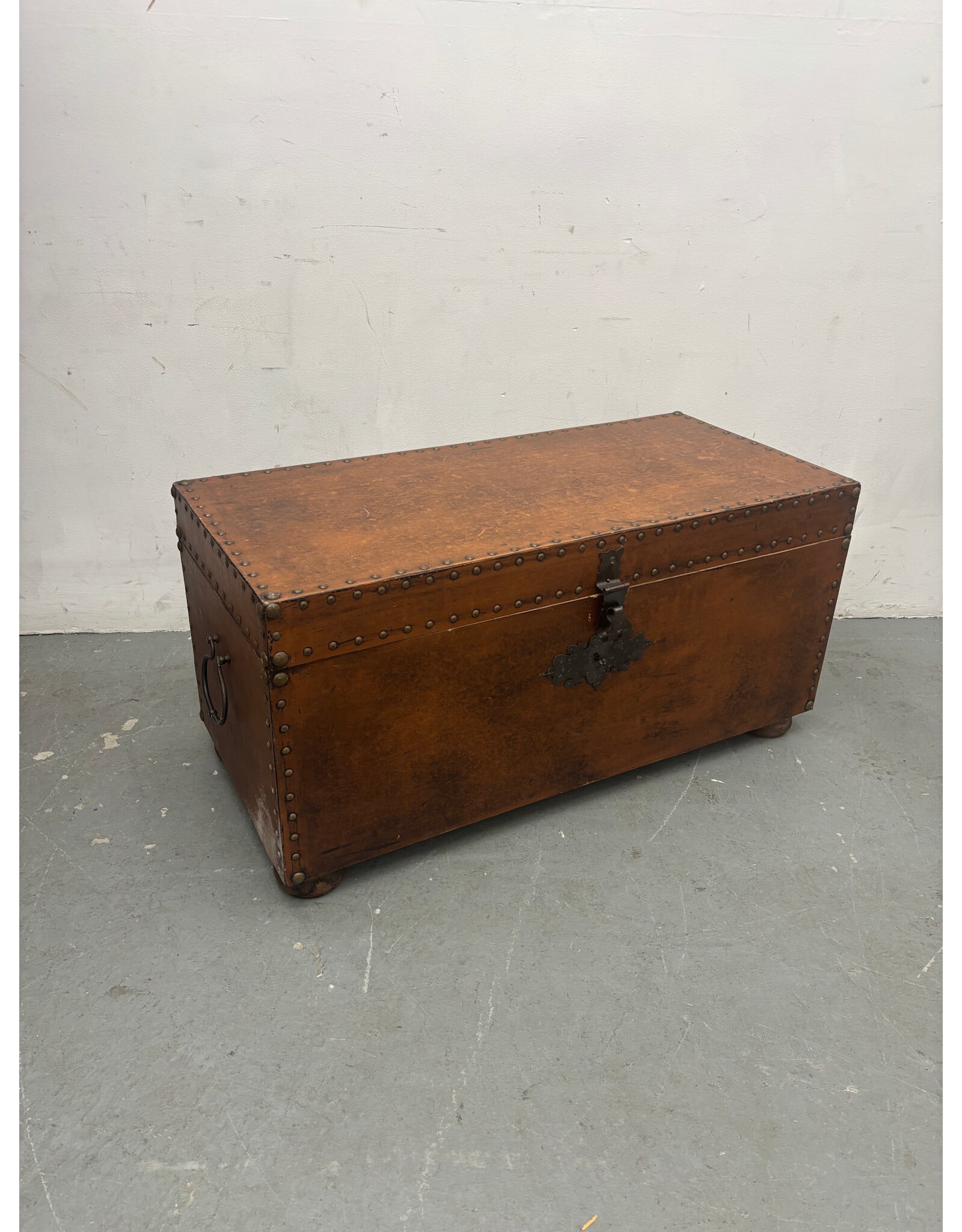 Argentinian Studded Trunk