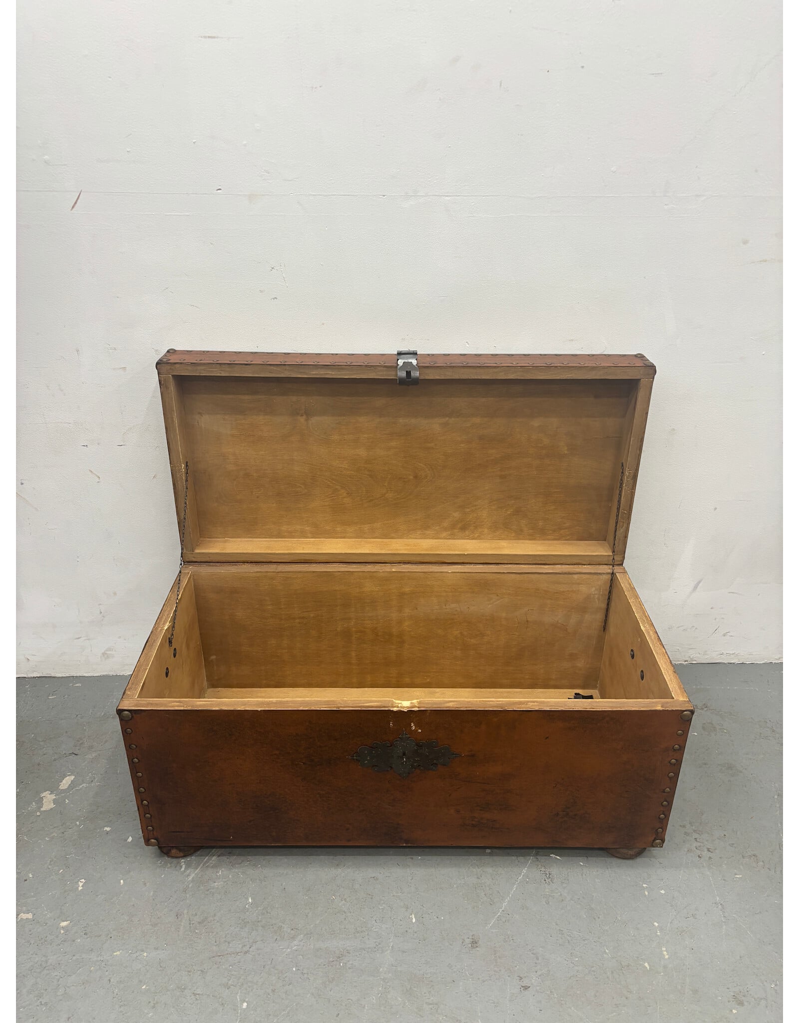 Argentinian Studded Trunk