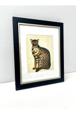Framed Antique Style Leopard Cat Print