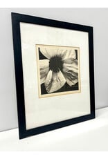 Poppy by Graeme Harris, framed photogravure print
