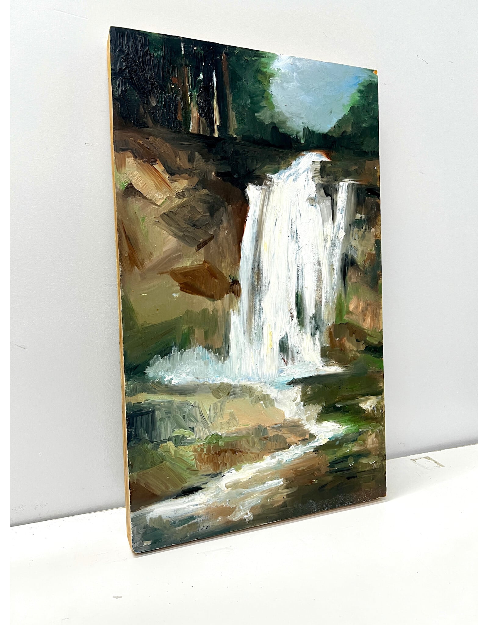 Rushing Falls, oil on board, sgnd Lisa Palladino