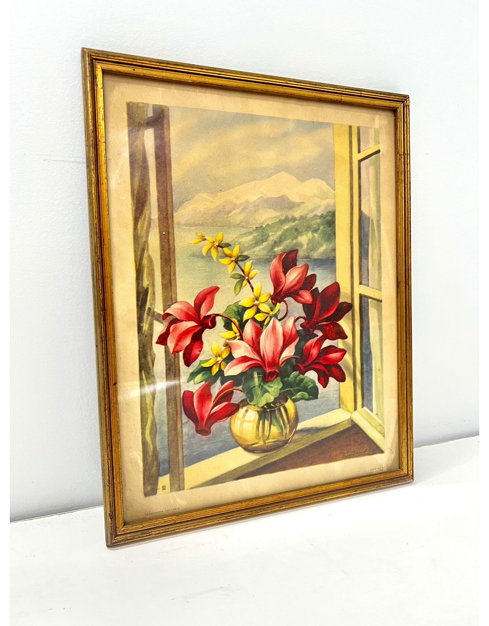 Cyclamen Persicum in a Window by SJ Bende, framed vintage print