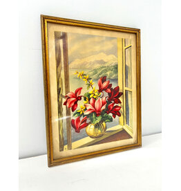 Cyclamen Persicum in a Window by SJ Bende, framed vintage print