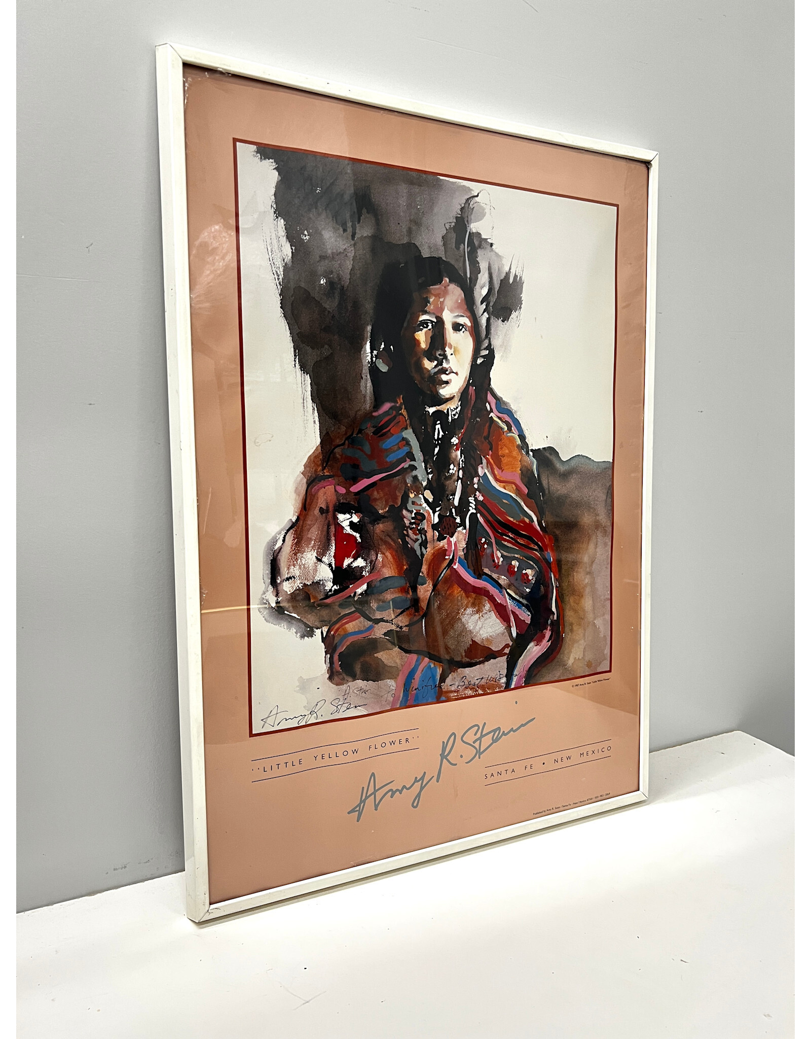 Framed Amy R Stein Museum Poster