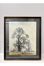Misty Morn, lithograph, sgnd. David Shephard, 1931
