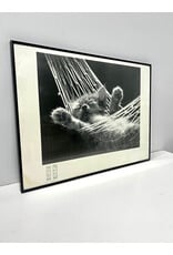 Cat Nap by David McEnery, framed poster