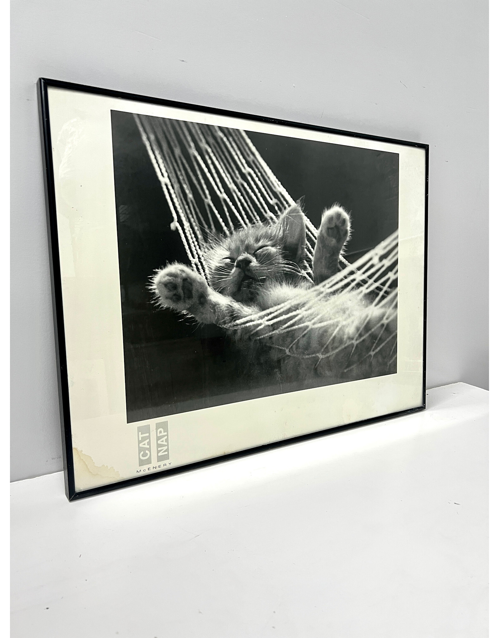 Cat Nap by David McEnery, framed poster