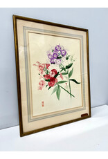 Phlox, framed watercolor painting, sgnd Mabel MacIver