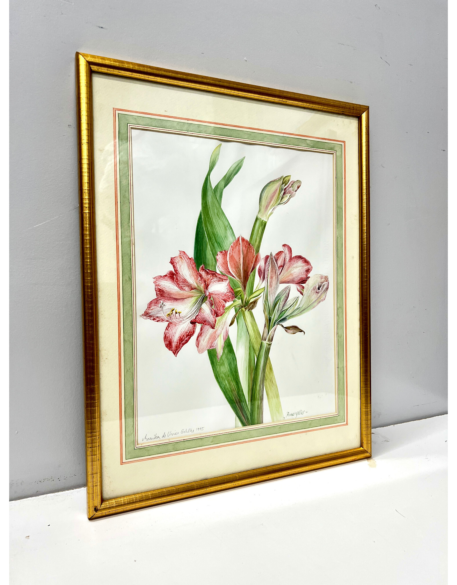 Amaryllis, framed watercolor, sgnd Eleanor B. Wunderlich