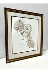 Viburnum Alnifolium--October, framed watercolor, sgnd Eleanor B. Wunderlich