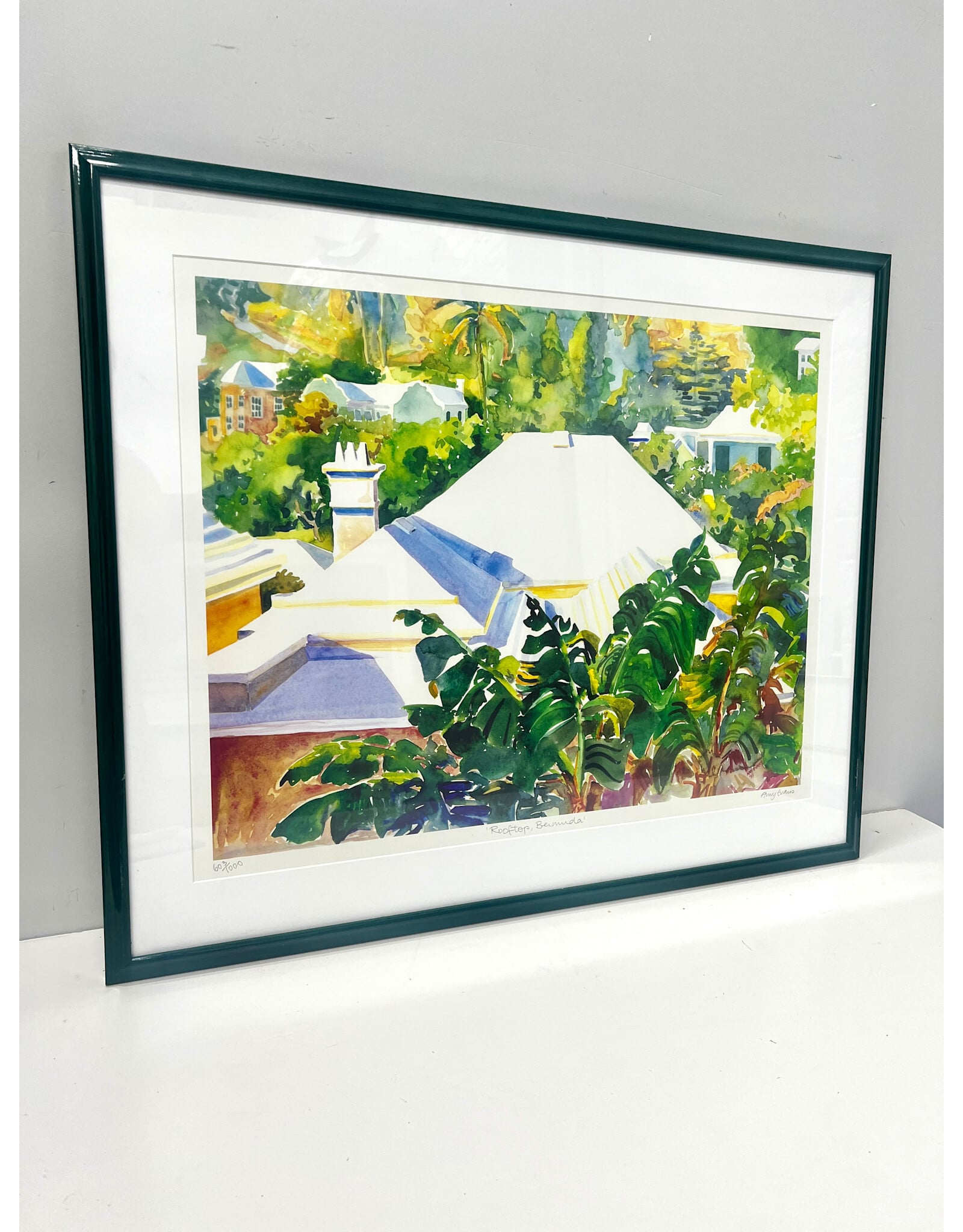 Rooftop, Bermuda, framed print, sgnd Amy Evans 603/1000