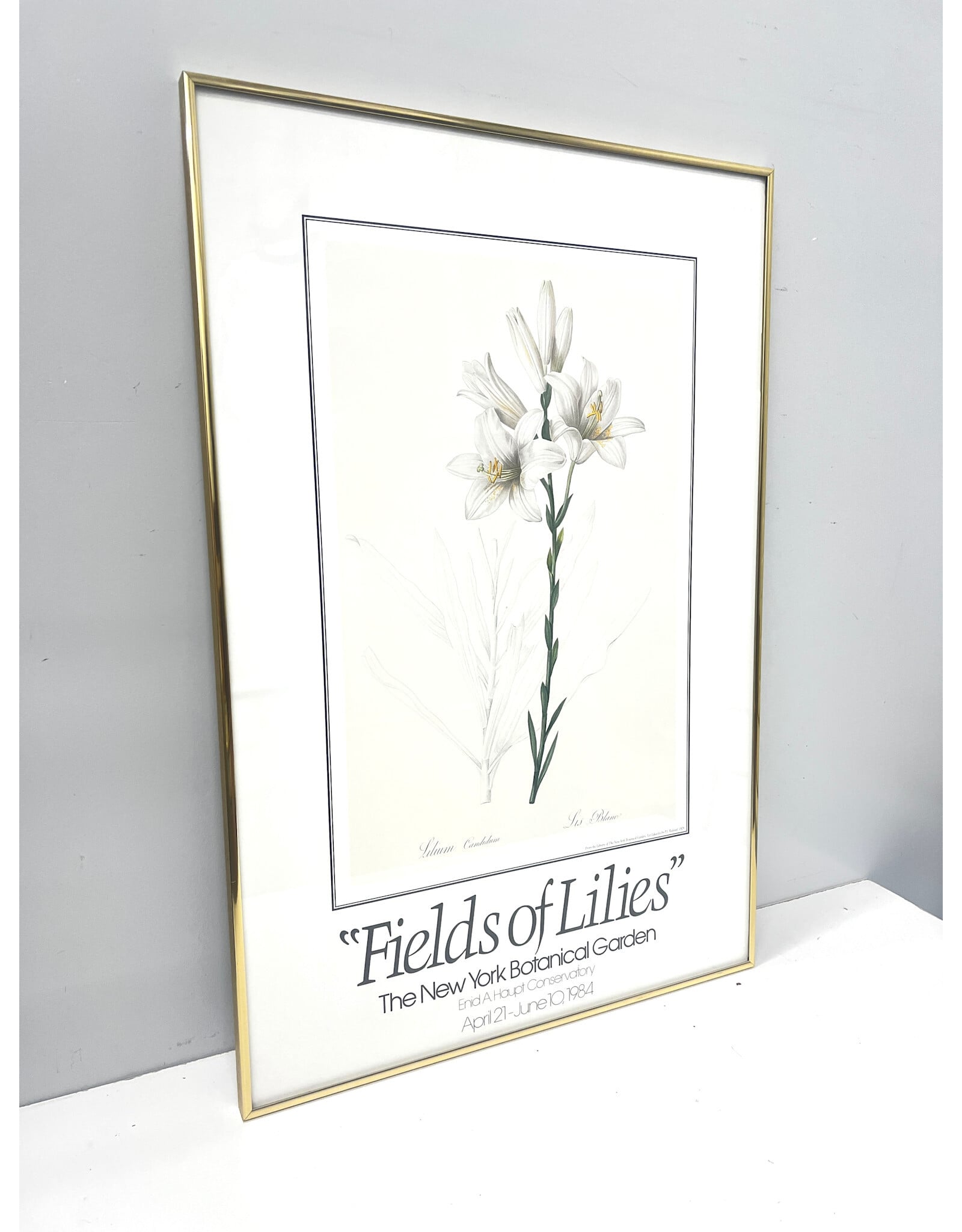 Fields of Lillies:The New York Botanical Garden, framed exhibition poster