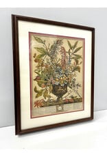 "January" from Twelve Months of Flowers by Robert Furber