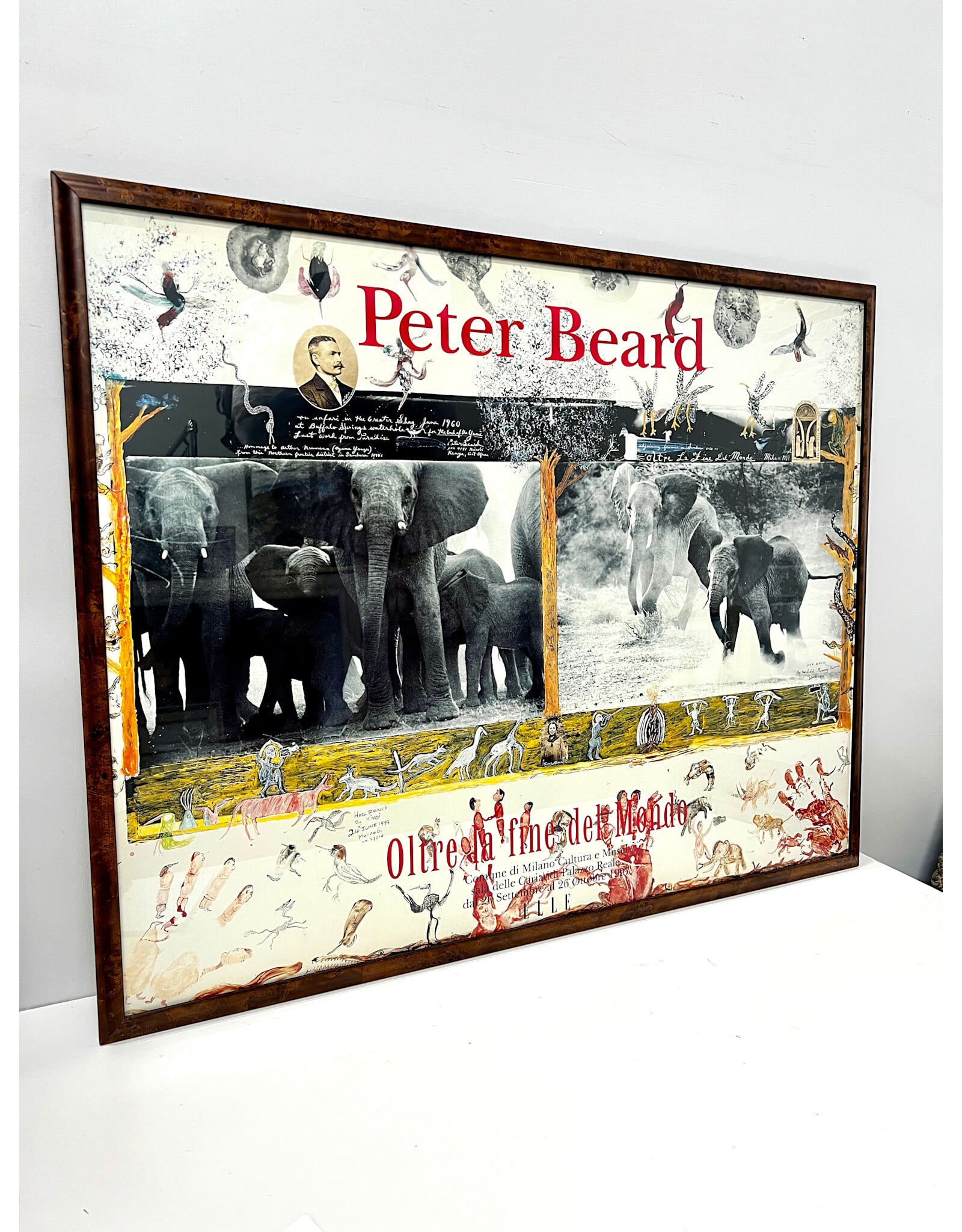 Framed Peter Beard Poster