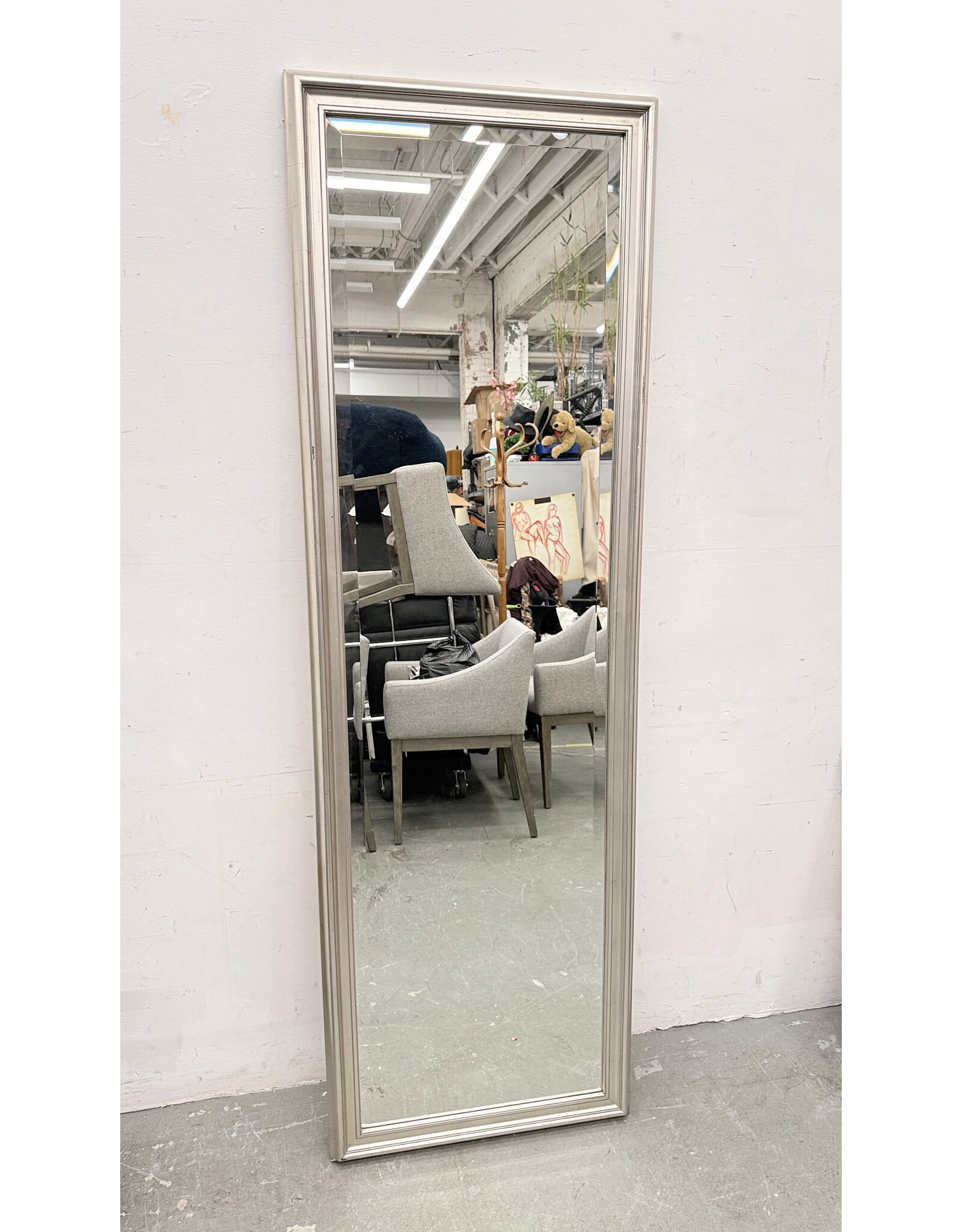 Champagne Silver Modern Standing Mirror