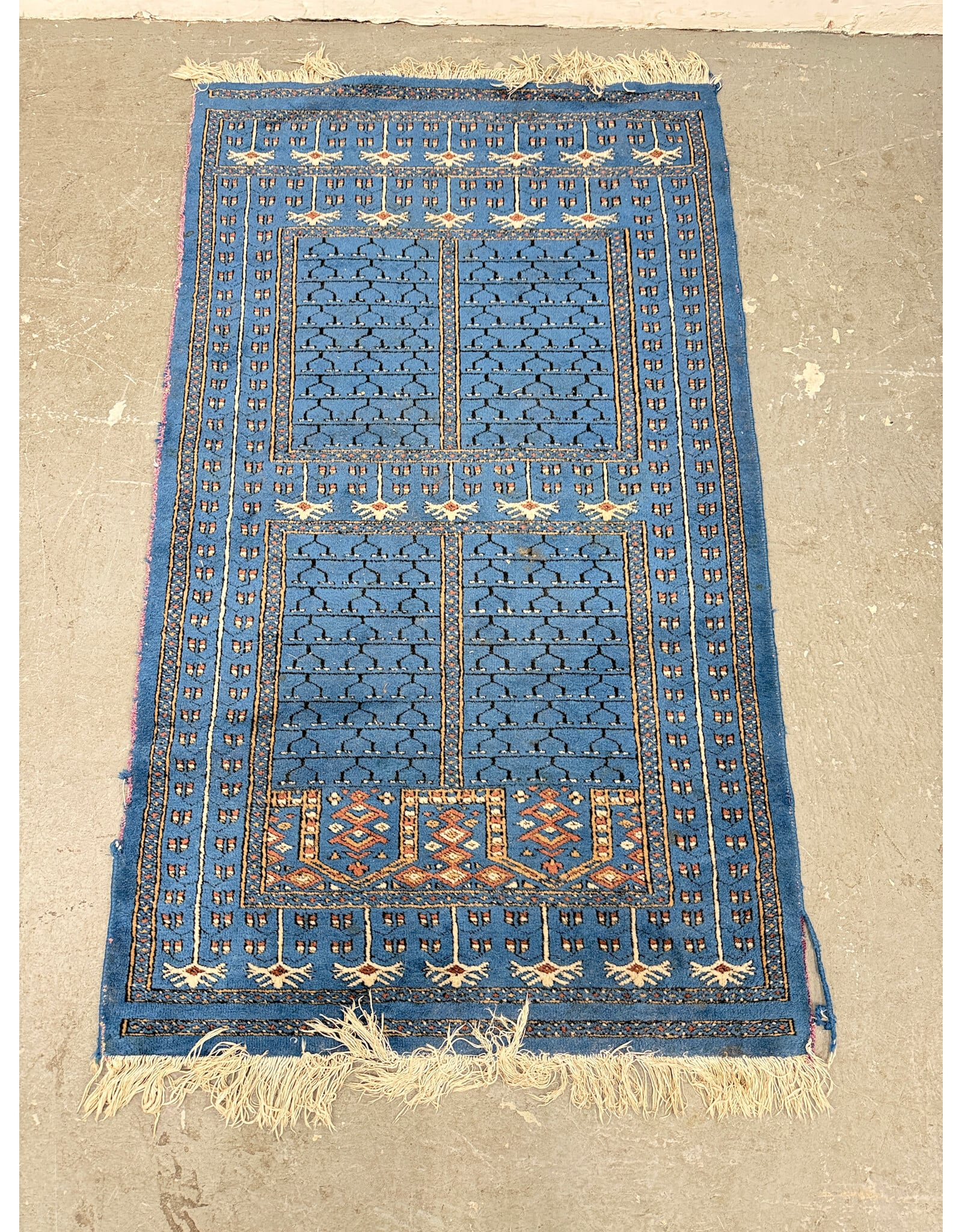 Jaali Style Hand-Knotted Area Rug