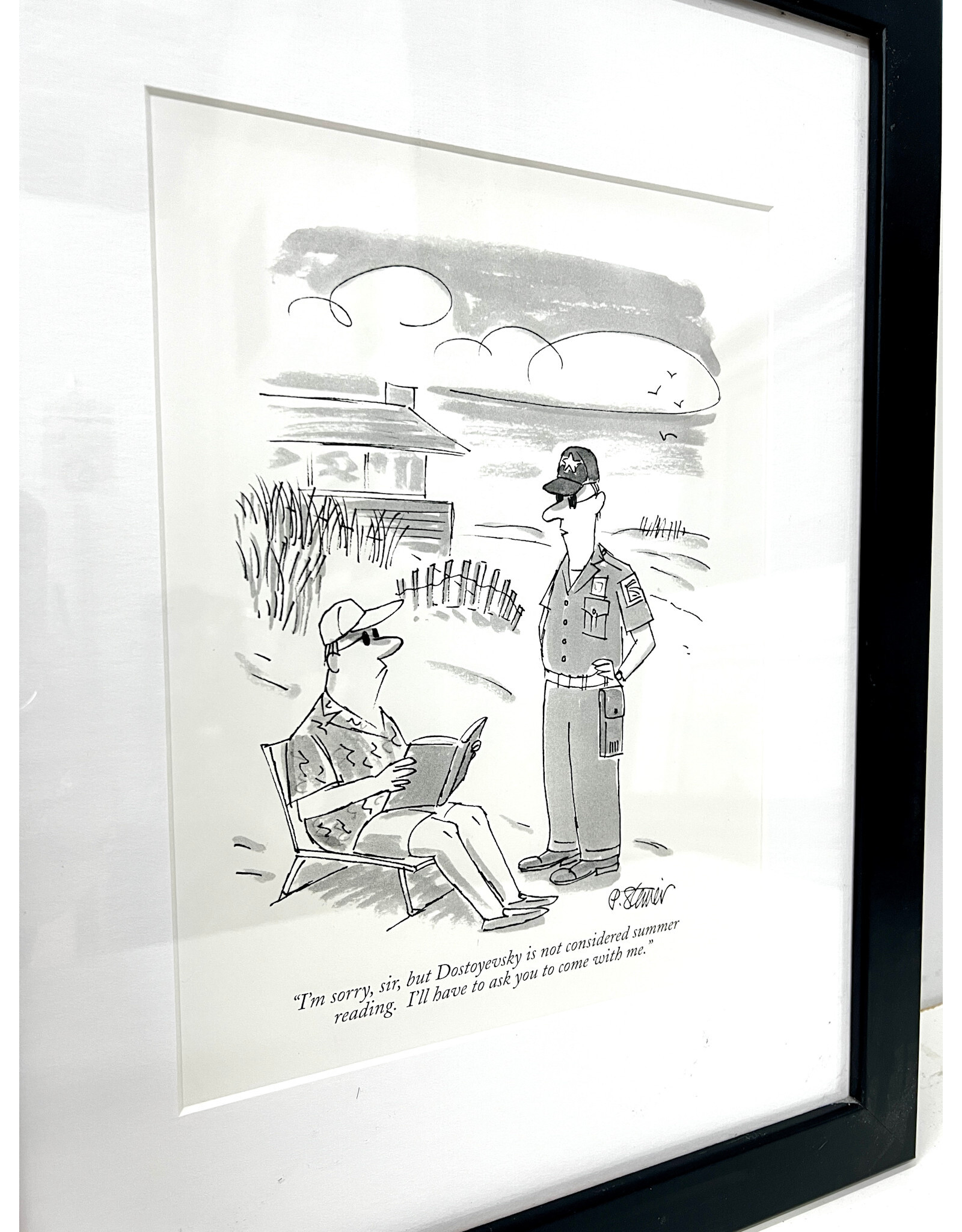 "Summer Reading Arrest" by Peter Steiner, framed print