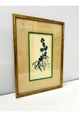 Aconitum Napellus, framed vintage botanical print